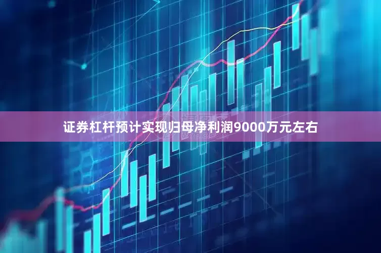 证券杠杆预计实现归母净利润9000万元左右