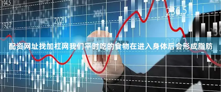 配资网址找加杠网我们平时吃的食物在进入身体后会形成脂肪